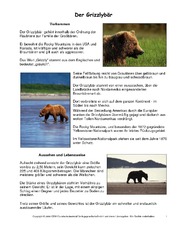 Grizzly-Steckbrief.pdf